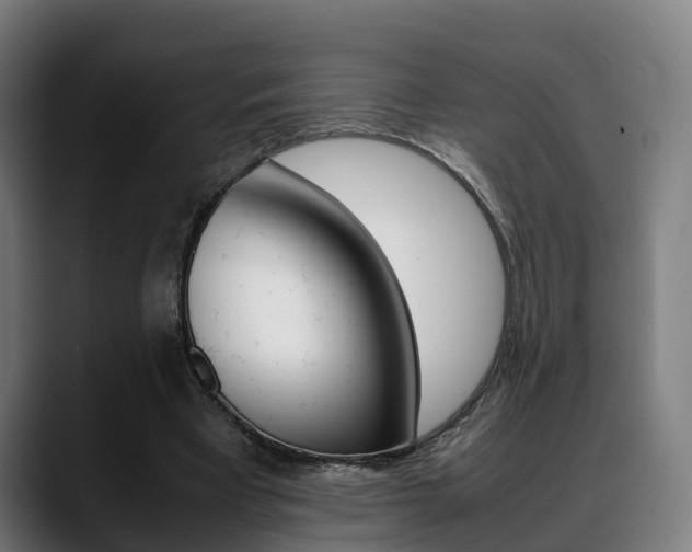 X0000088660393200705251006