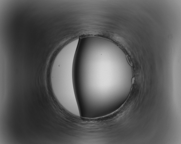 X0000088660395200705251006