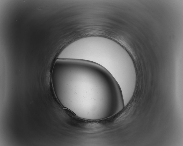 X0000088660397200705251006