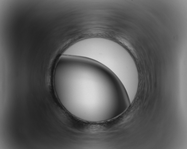 X0000088660399200705251006