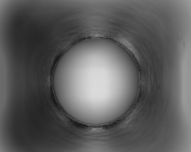 X0000088660401200705251006