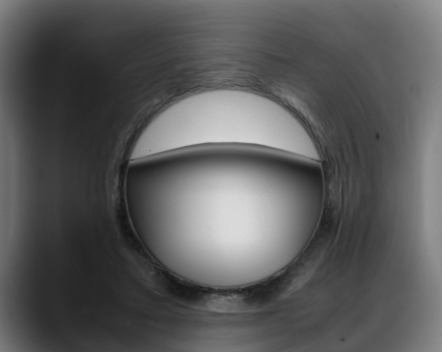 X0000088660403200705251006