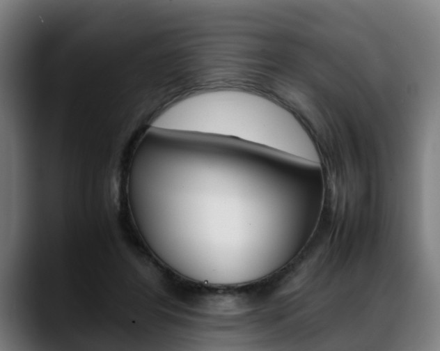 X0000088660404200705251006