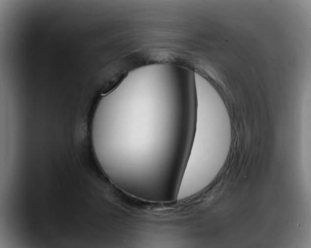X0000088660407200705251006