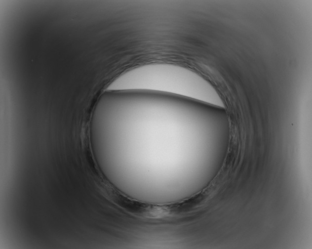 X0000088660409200705251006