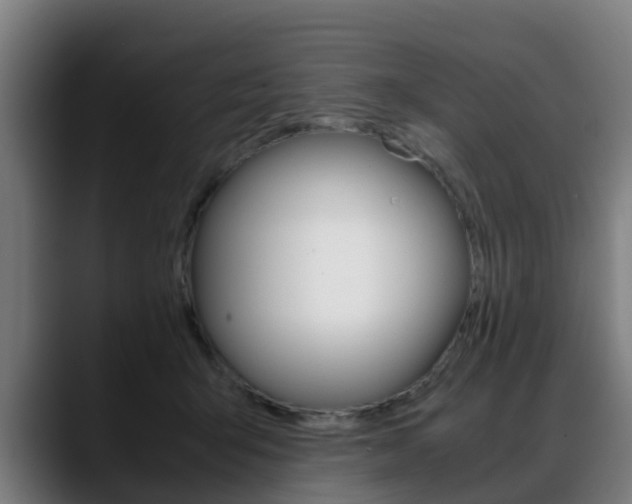 X0000088660415200705251006