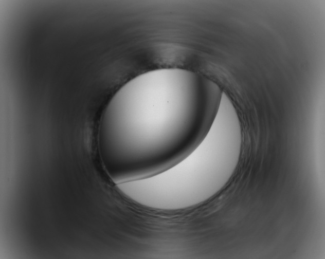 X0000088660416200705251006