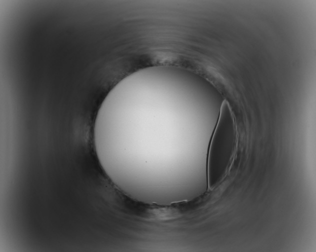 X0000088660417200705251006