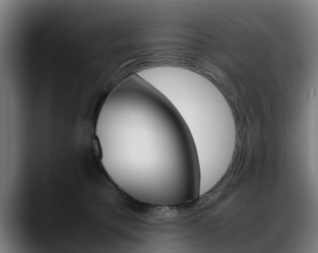 X0000088660421200705251006