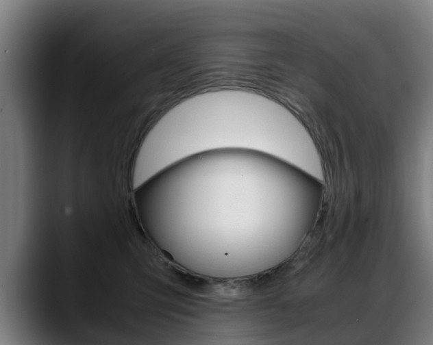X0000088660423200705251006