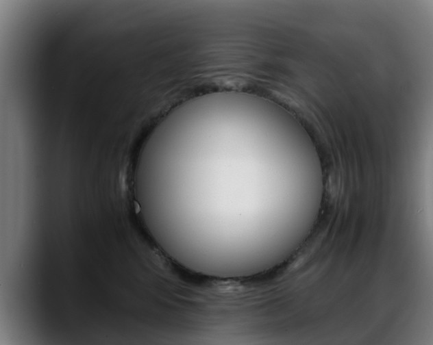 X0000088660424200705251006