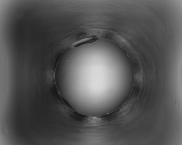 X0000088660429200705251006