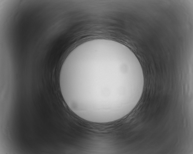 X0000088660431200705251006