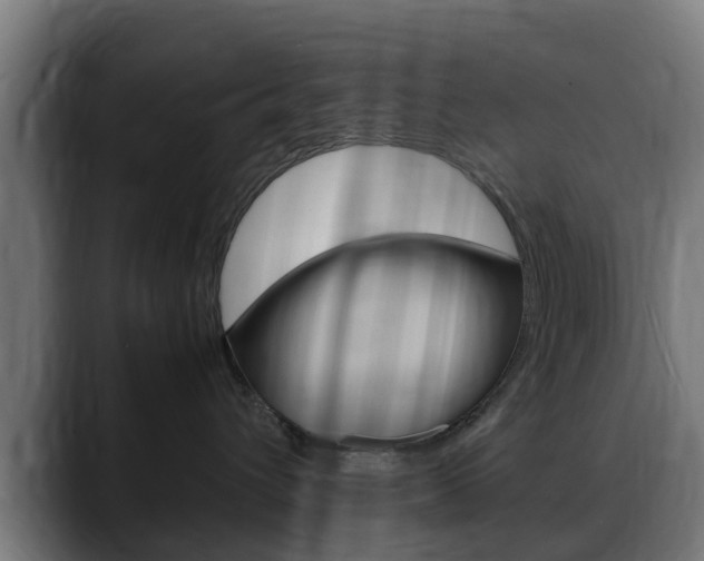 X0000088660432200705251006