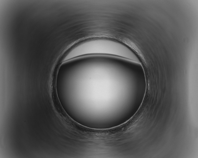 X0000088660436200705251005