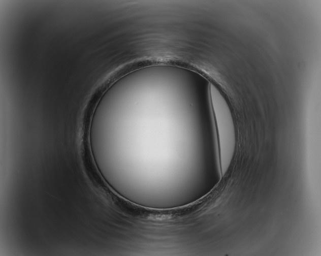 X0000088660440200705251005
