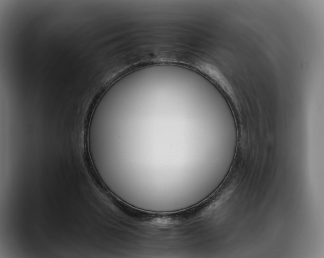 X0000088660441200705251005