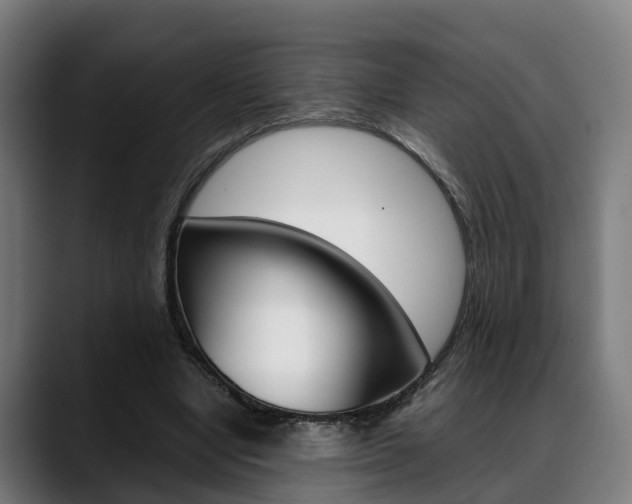 X0000088660442200705251005