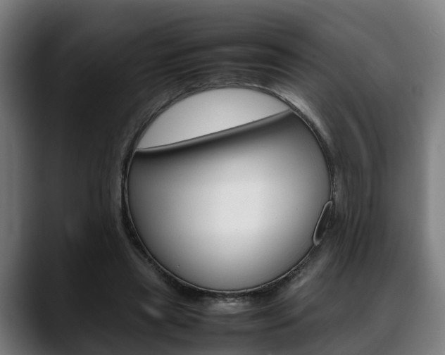 X0000088660445200705251005