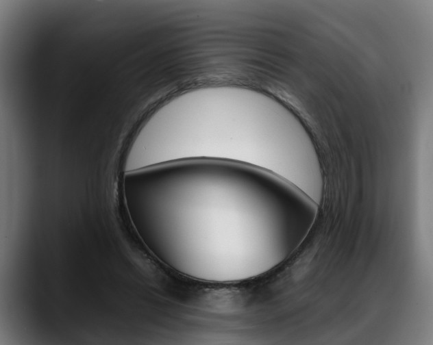 X0000088660446200705251005