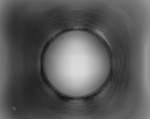 X0000088660447200705251005