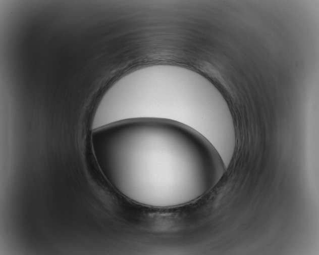 X0000088660448200705251005