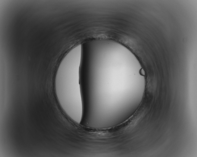 X0000088660449200705251005