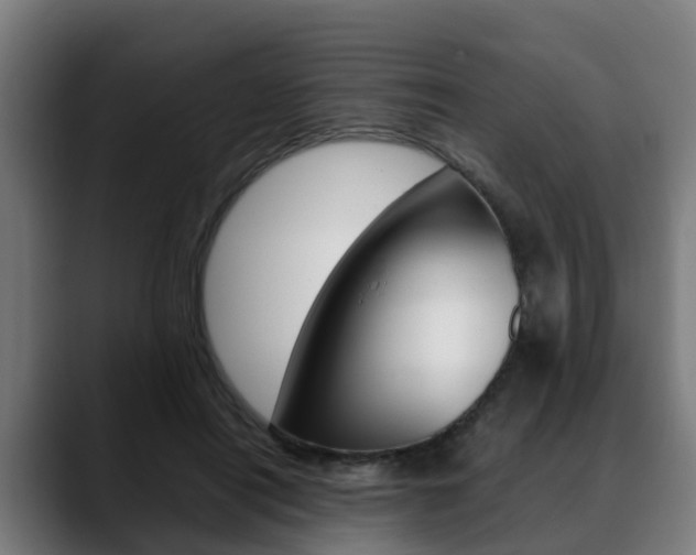 X0000088660454200705251005