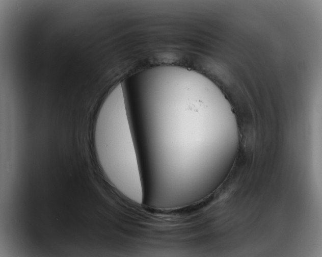 X0000088660455200705251005