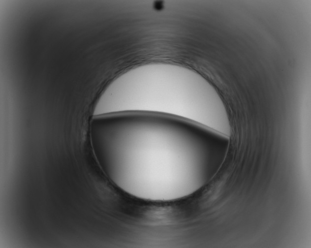 X0000088660458200705251005