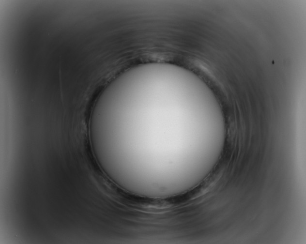 X0000088660459200705251005