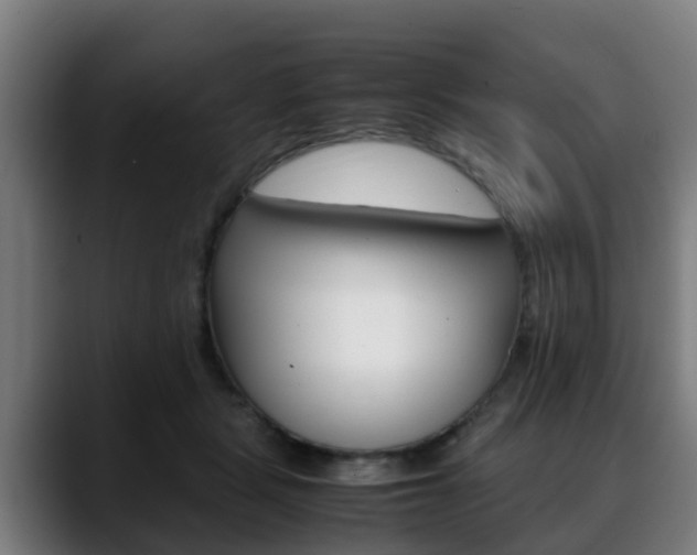 X0000088660461200705251005