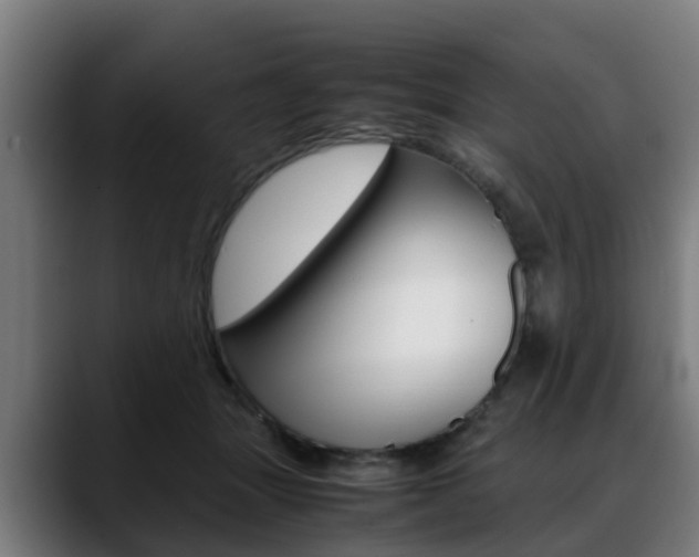 X0000088660463200705251006