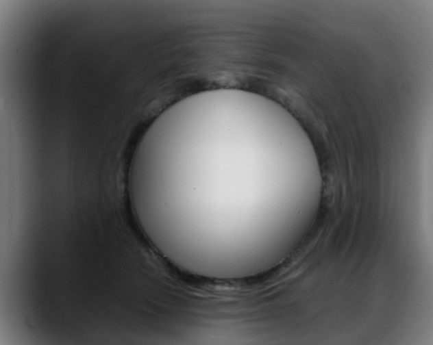 X0000088660466200705251006