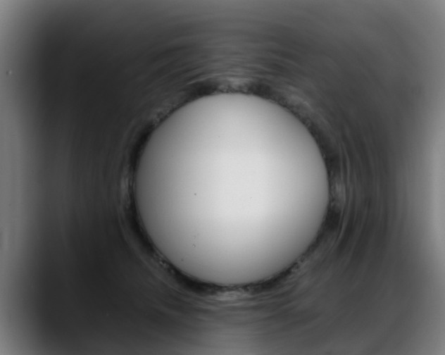 X0000088660468200705251006