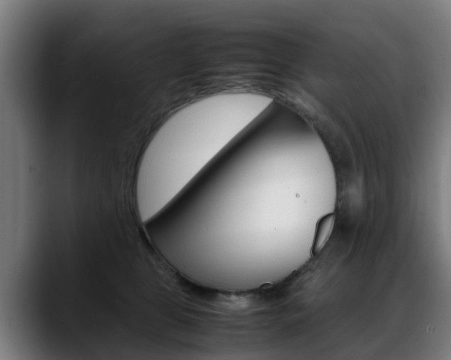 X0000088660469200705251006