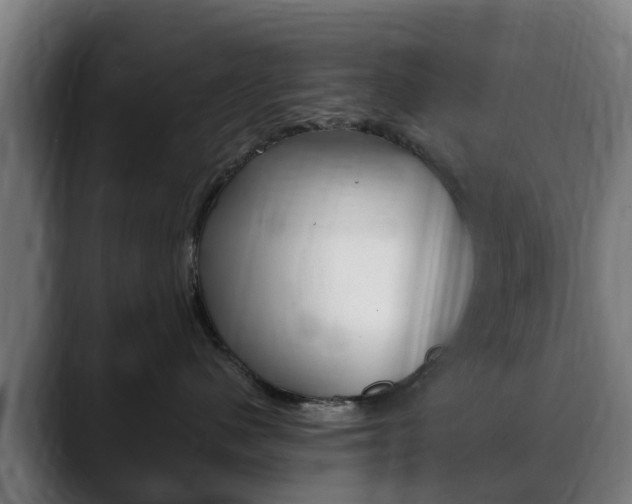 X0000088660480200705251006