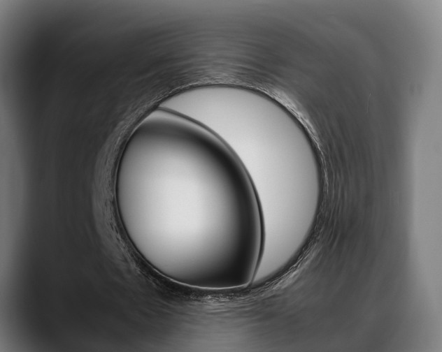 X0000088660481200705251005