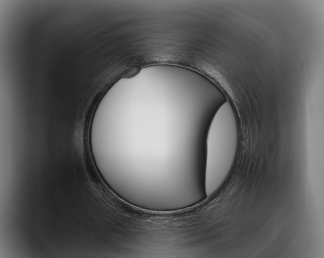 X0000088660482200705251005