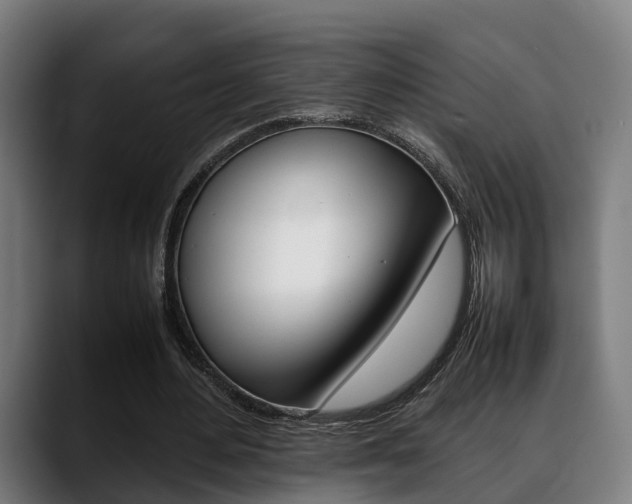 X0000088660484200705251005