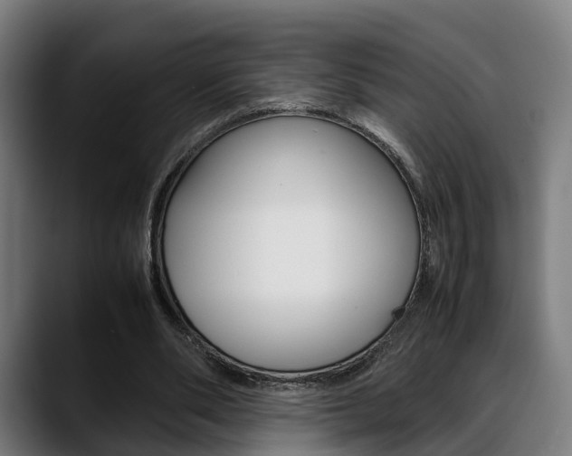 X0000088660486200705251005