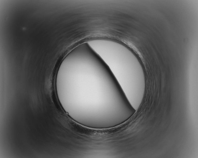 X0000088660487200705251005