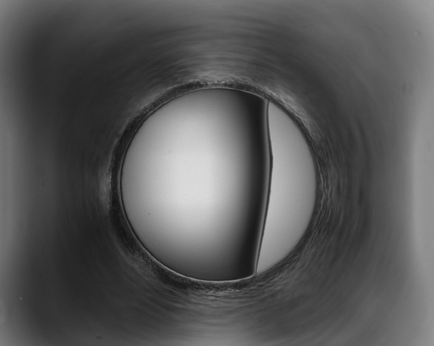 X0000088660488200705251005