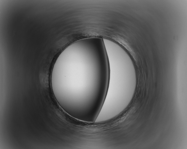 X0000088660489200705251005