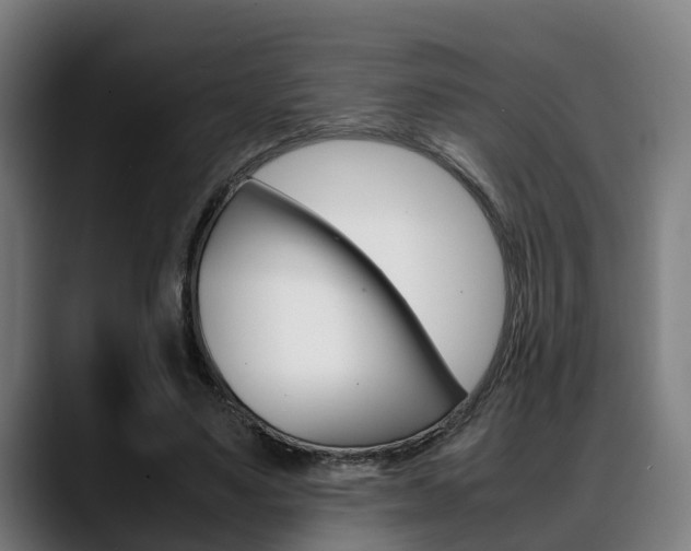 X0000088660491200705251005