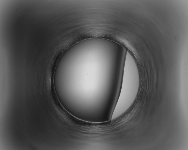 X0000088660493200705251005