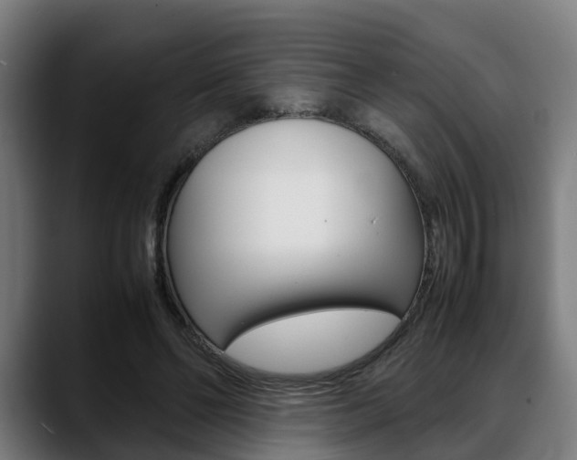 X0000088660494200705251005