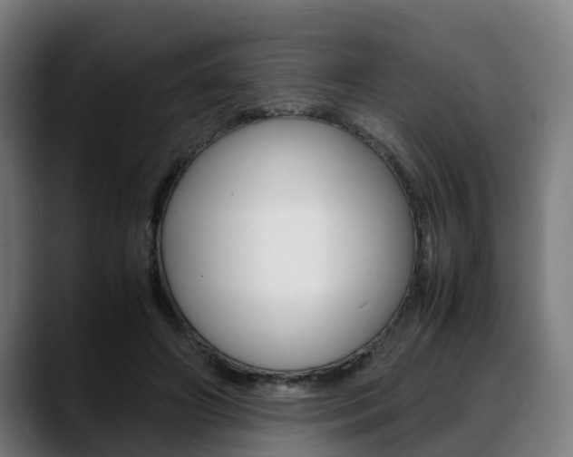 X0000088660498200705251005