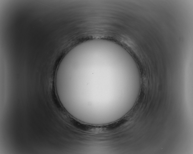 X0000088660499200705251005