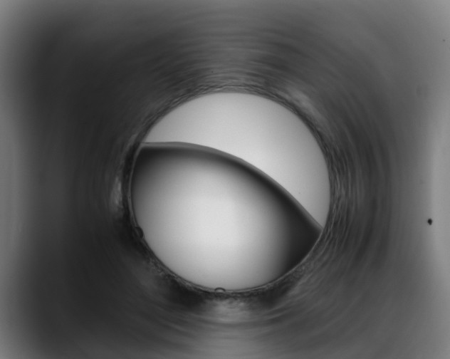 X0000088660500200705251005